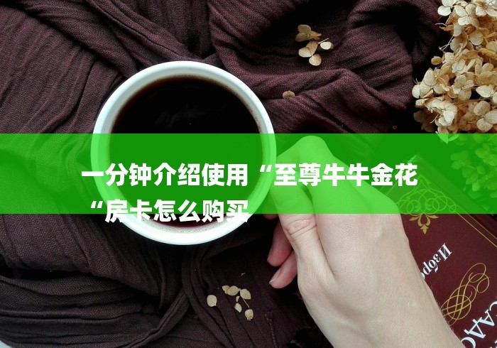 一分钟介绍使用“至尊牛牛金花
“房卡怎么购买