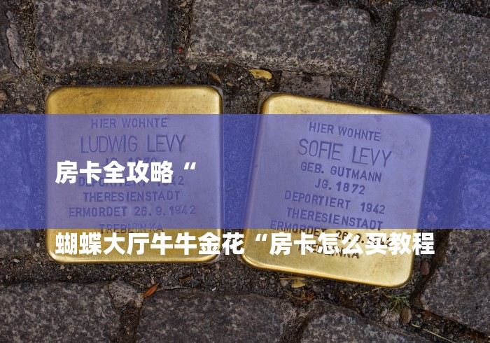 房卡全攻略“

蝴蝶大厅牛牛金花“房卡怎么买教程