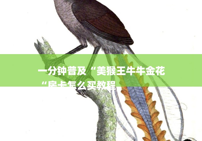 一分钟普及“美猴王牛牛金花
“房卡怎么买教程