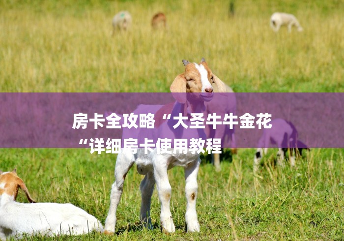 房卡全攻略“大圣牛牛金花
“详细房卡使用教程