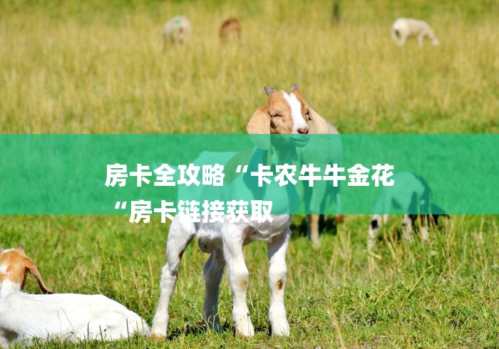 房卡全攻略“卡农牛牛金花
“房卡链接获取
