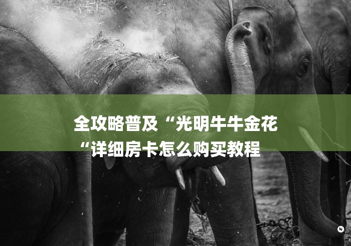 全攻略普及“光明牛牛金花
“详细房卡怎么购买教程 全攻略普及“光明牛牛金花
“详细房卡怎么购买教程