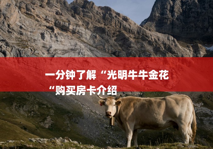 一分钟了解“光明牛牛金花
“购买房卡介绍 一分钟了解“光明牛牛金花
“购买房卡介绍