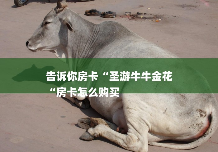 告诉你房卡“圣游牛牛金花
“房卡怎么购买