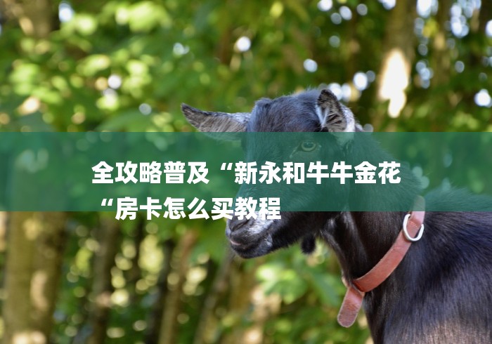 全攻略普及“新永和牛牛金花
“房卡怎么买教程 全攻略普及“新永和牛牛金花
“房卡怎么买教程