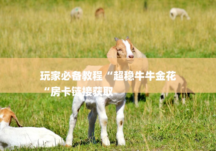 玩家必备教程“超稳牛牛金花
“房卡链接获取 玩家必备教程“超稳牛牛金花
“房卡链接获取