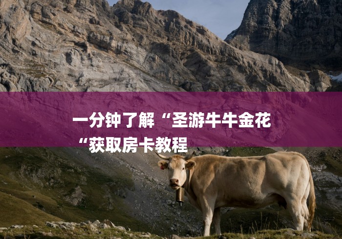 一分钟了解“圣游牛牛金花
“获取房卡教程